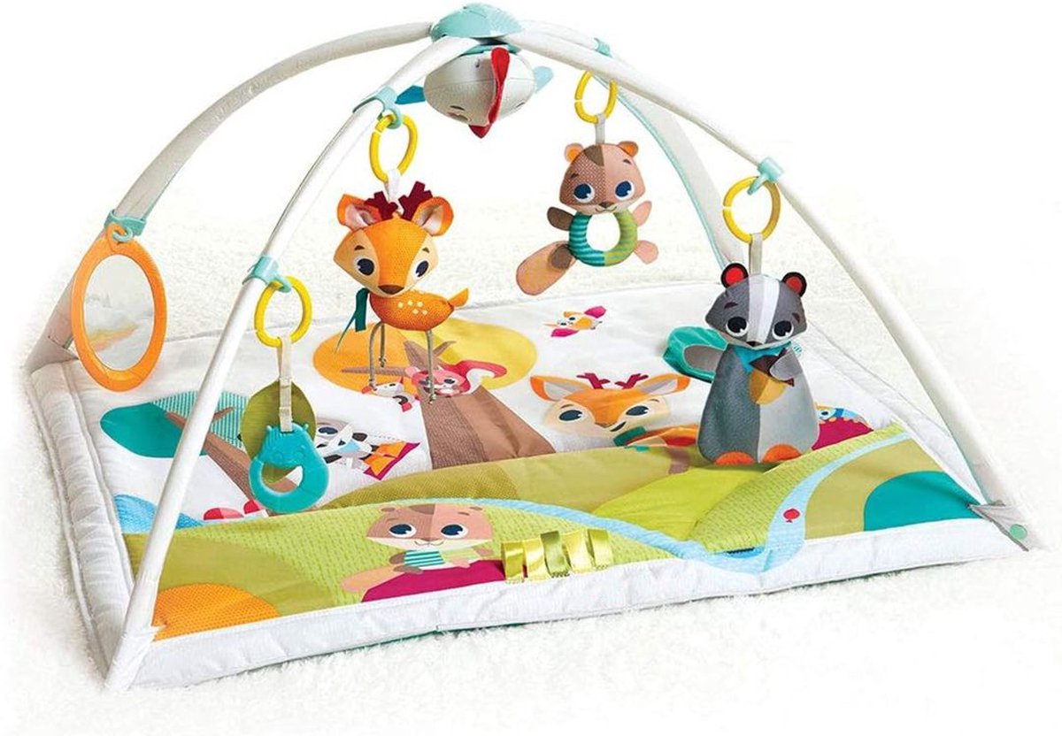 Baby Speelkleed Met Boog - Babyspeelgoed 0 Jaar - Kinderspeelgoed 1 Jaar - Speelmat - Babygym - Wit met Diertjes