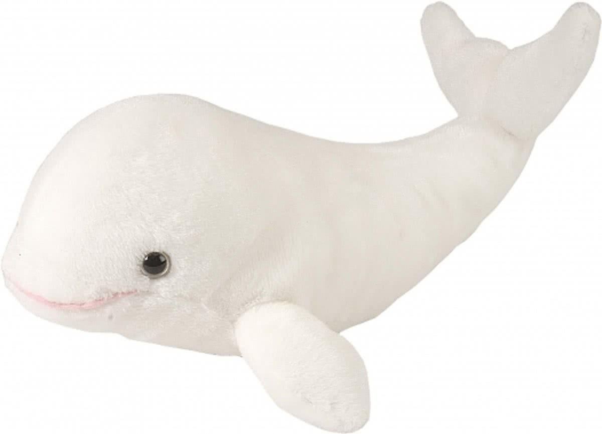 Pluche Beluga walvis knuffel 25 cm