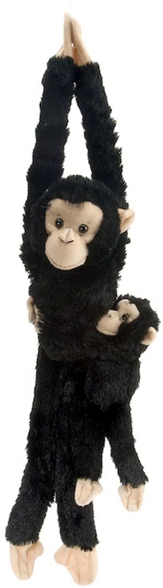 Wild Republic: Hangaap Chimpansee Met Baby