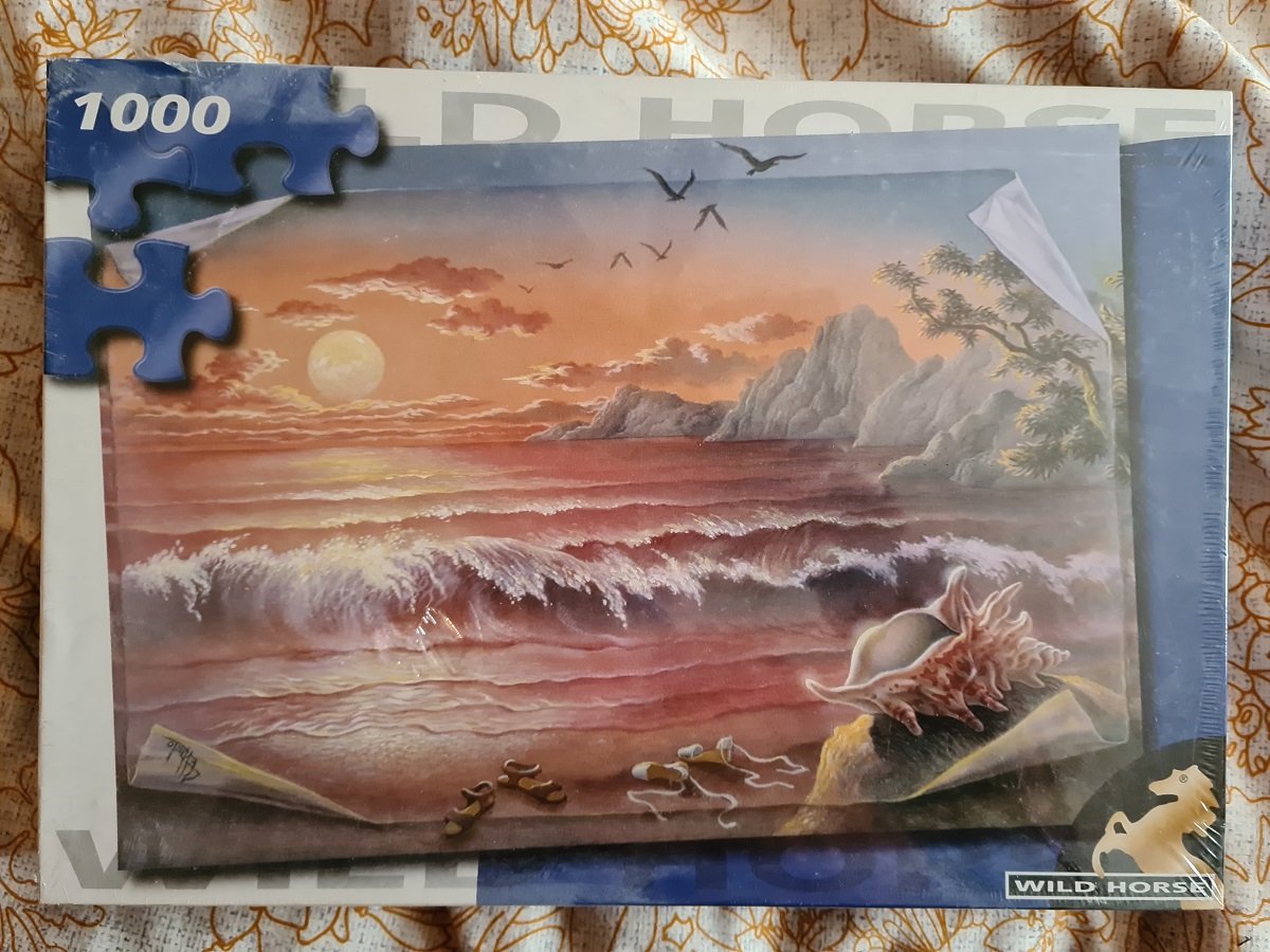 Strand met schelp Puzzel 1000 stukjes