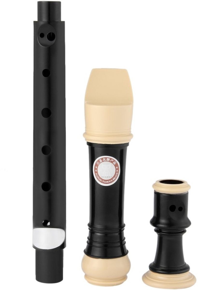 WiseGoods - Kunststof Blokfluit - Blokfluit Met Professioneel Geluid - 8 Gaten