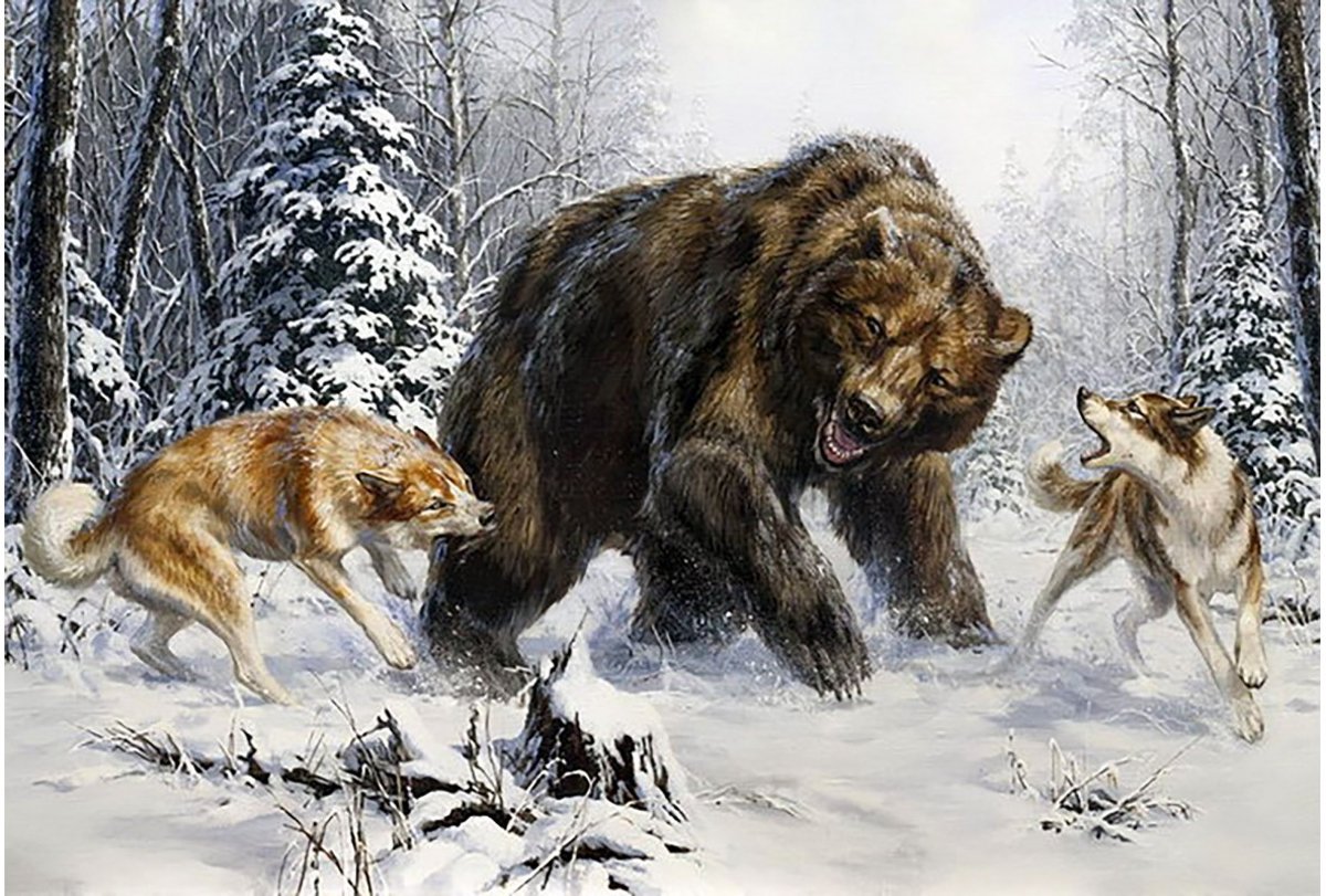Diamond Painting Huskies and Bear 100x68