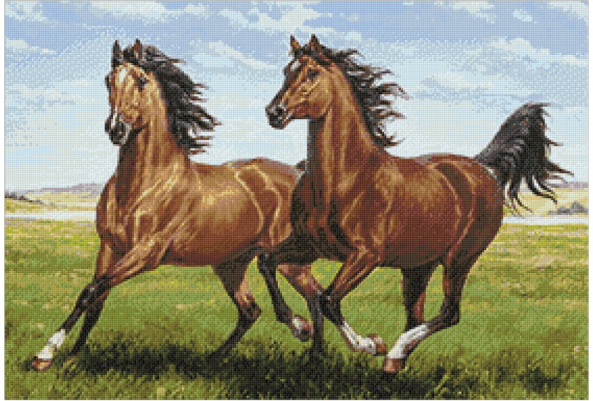   Diamond Painting Kit Tandem WD2457