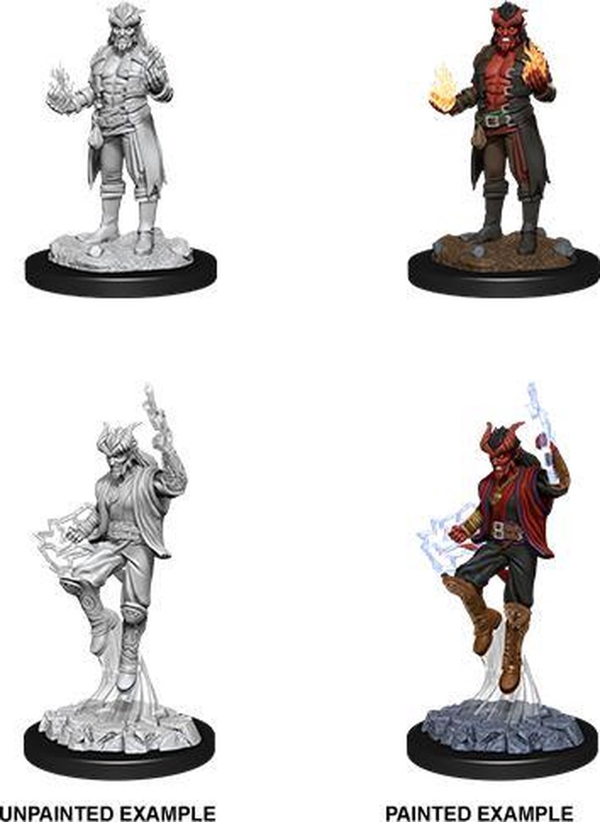D&D Nolzurs Marvelous Miniatures Tiefling Sorcerer Male 2