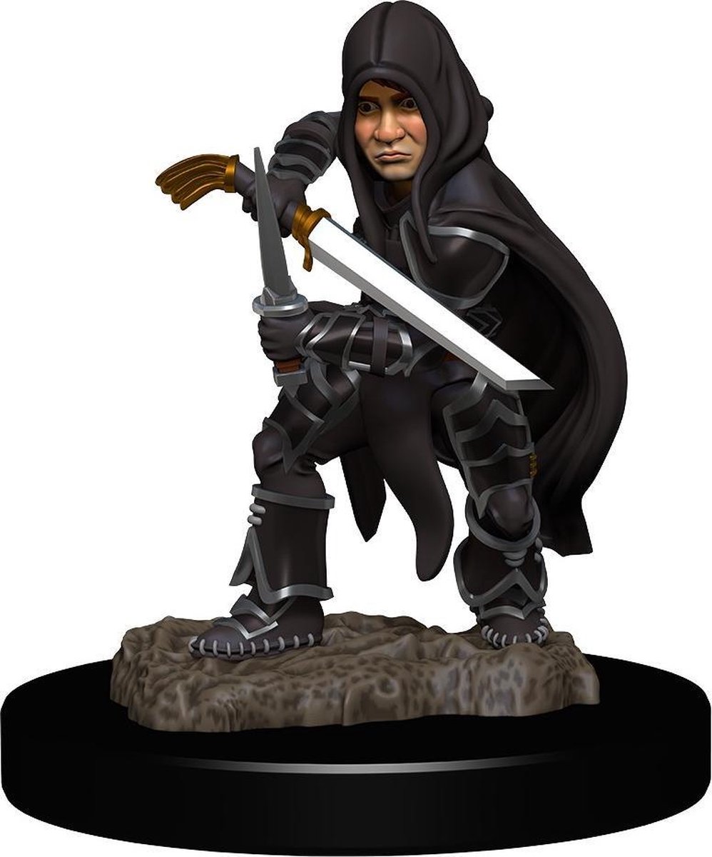  : Dungeons and Dragons - Nolzurs Marvelous Miniatures - Halfling Male Rogue