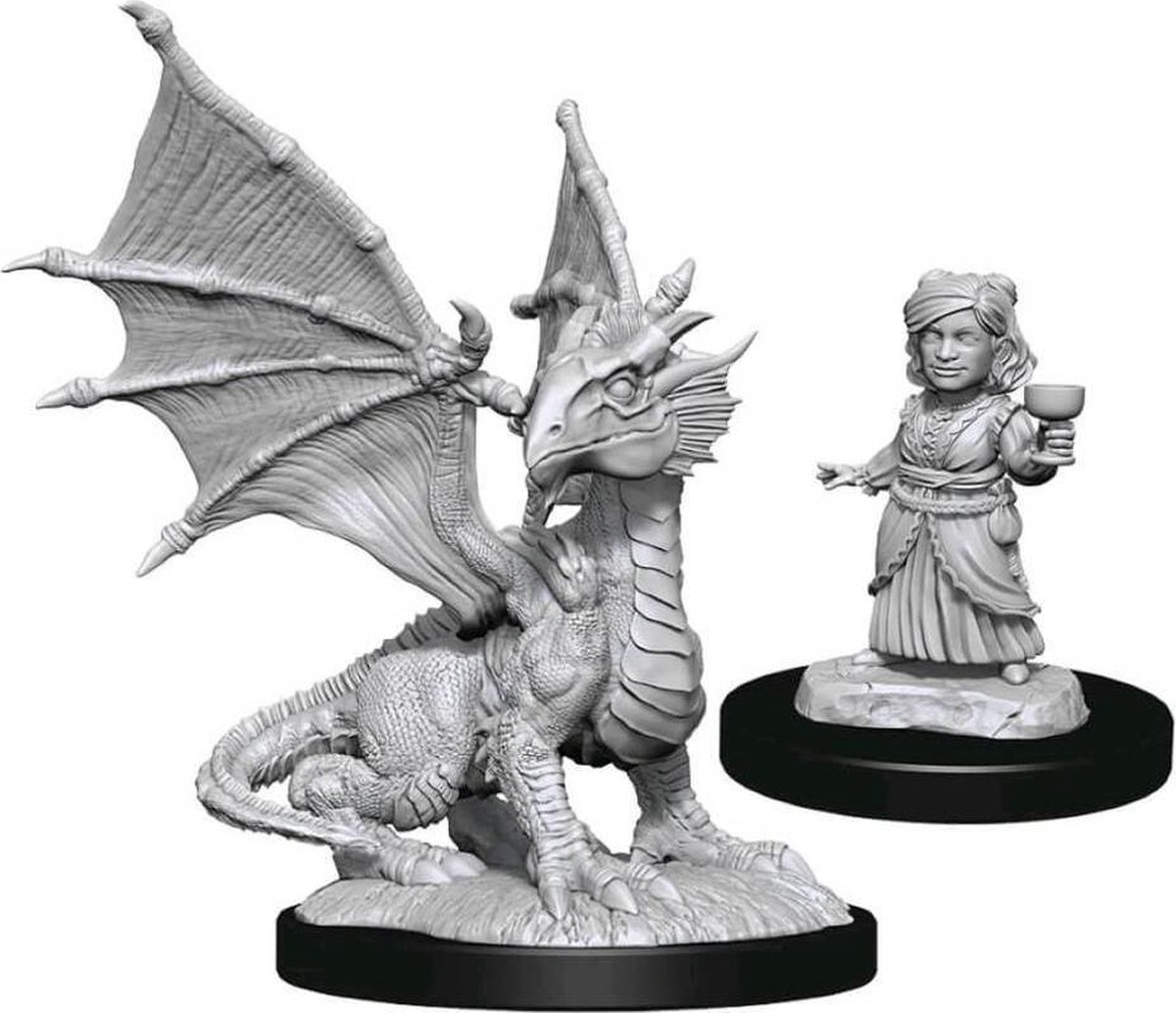 : Dungeons and Dragons - Nolzurs Marvelous Miniatures - Silver Dragon Wyrmling and Halfing Child