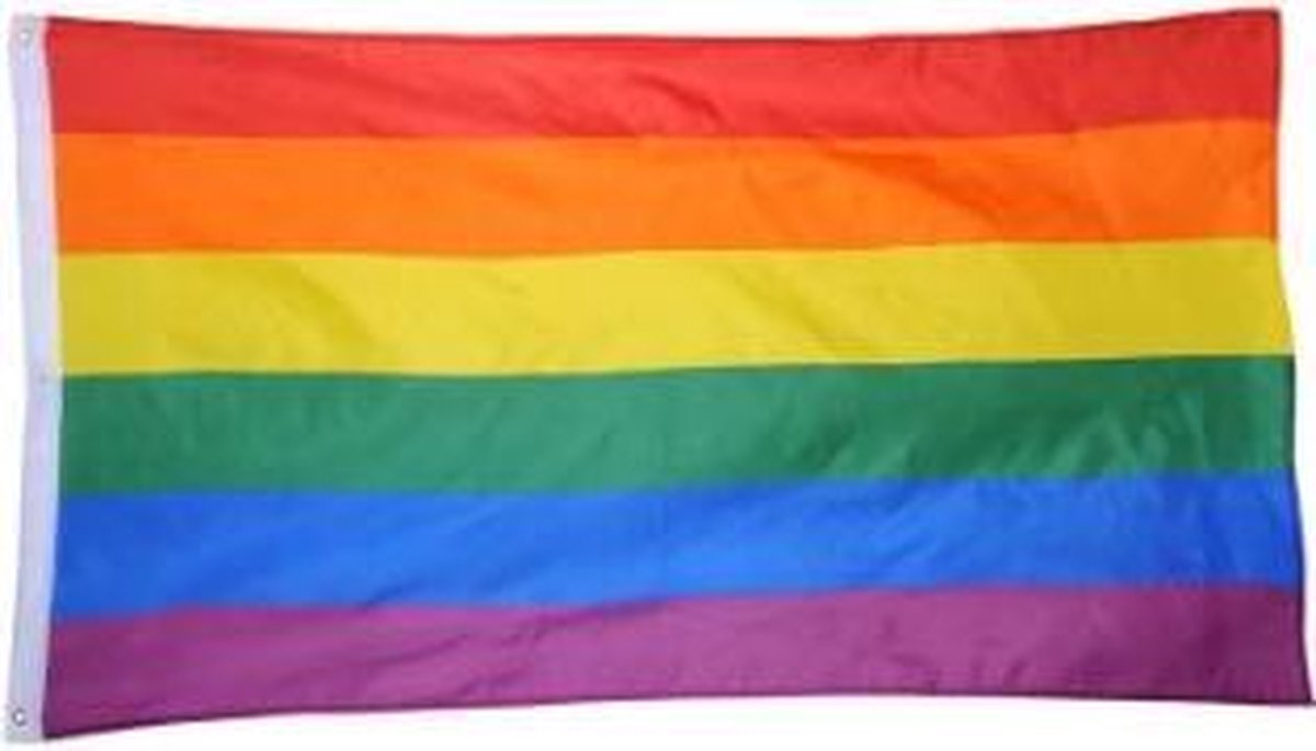 Regenboog vlag (LGBT - Gay vlag) - 90 x 150 cm
