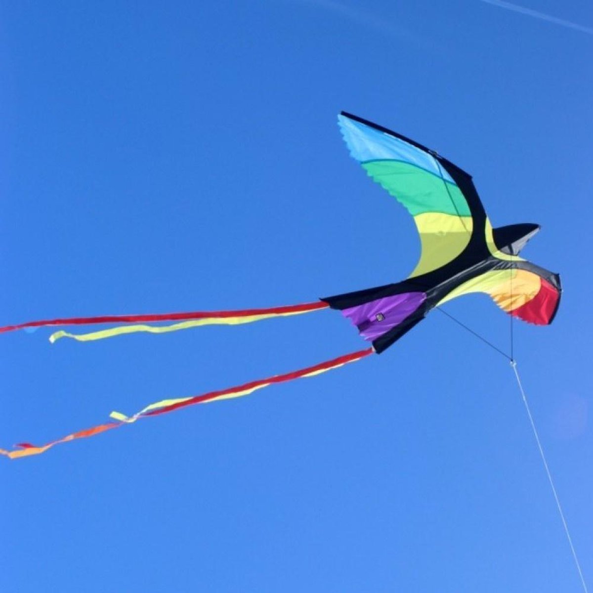 Wolkenstürmer Vlieger Bonny Bird Junior 130 Cm Polyester 4-delig