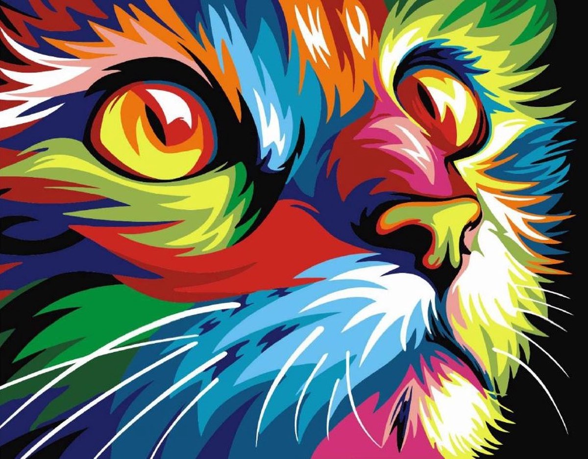 Diamond painting - Diamond painting volwassenen - Diamond painting pakket volledig - kleurrijke kat - 30x40cm - ronde steentjes