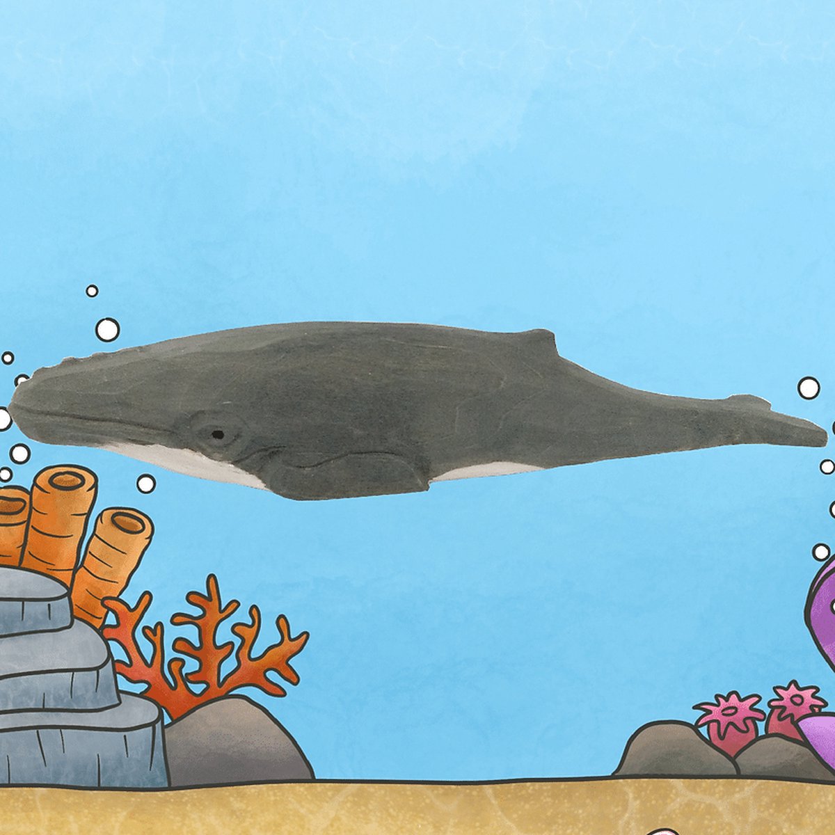 Wudimals Bultrug Walvis 40823