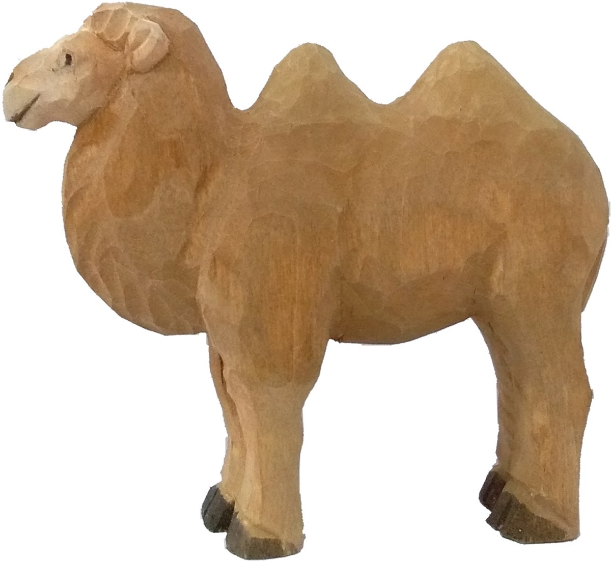 Wudimals Kameel 40474