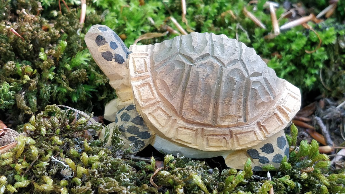 Wudimals Landschildpad 40704