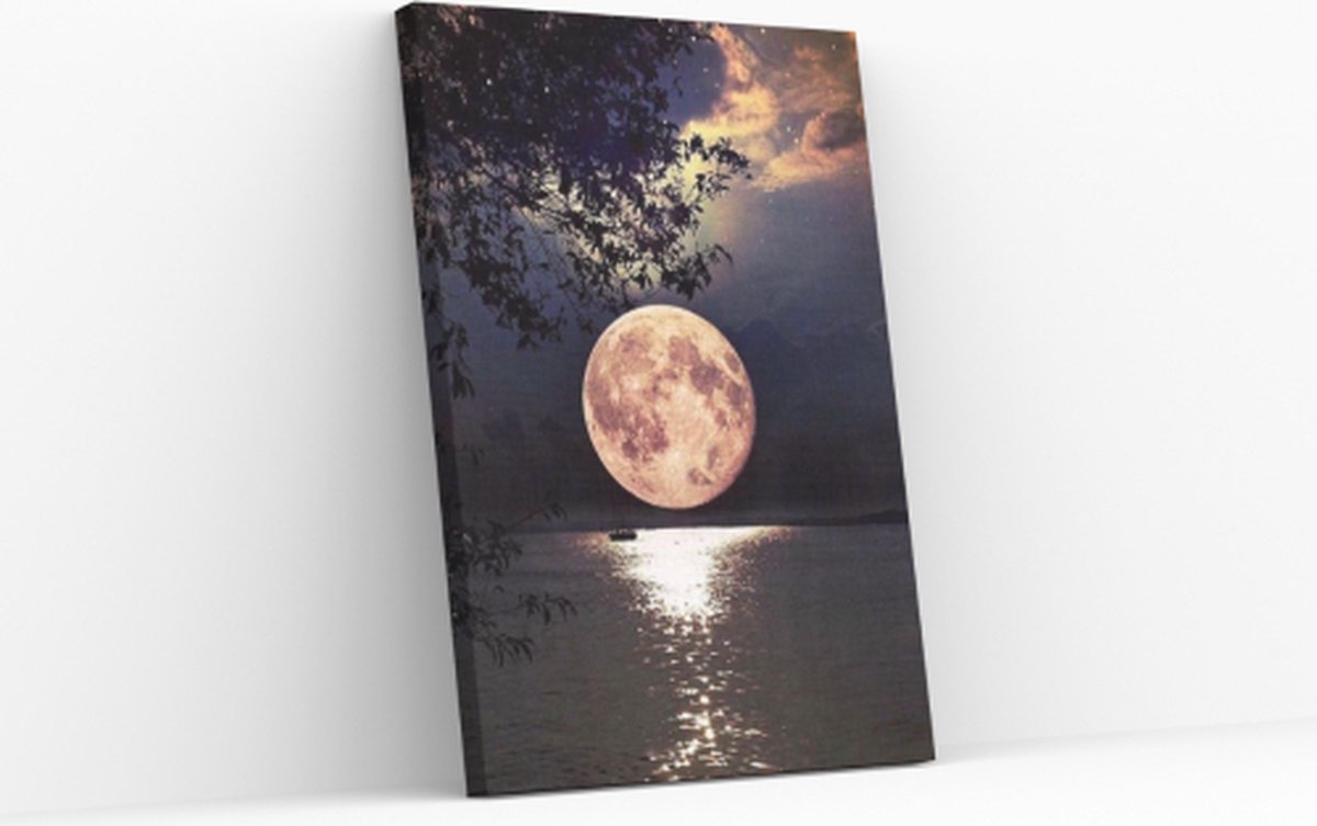 Schilderen op nummer – Maanlicht  – Yuko ®