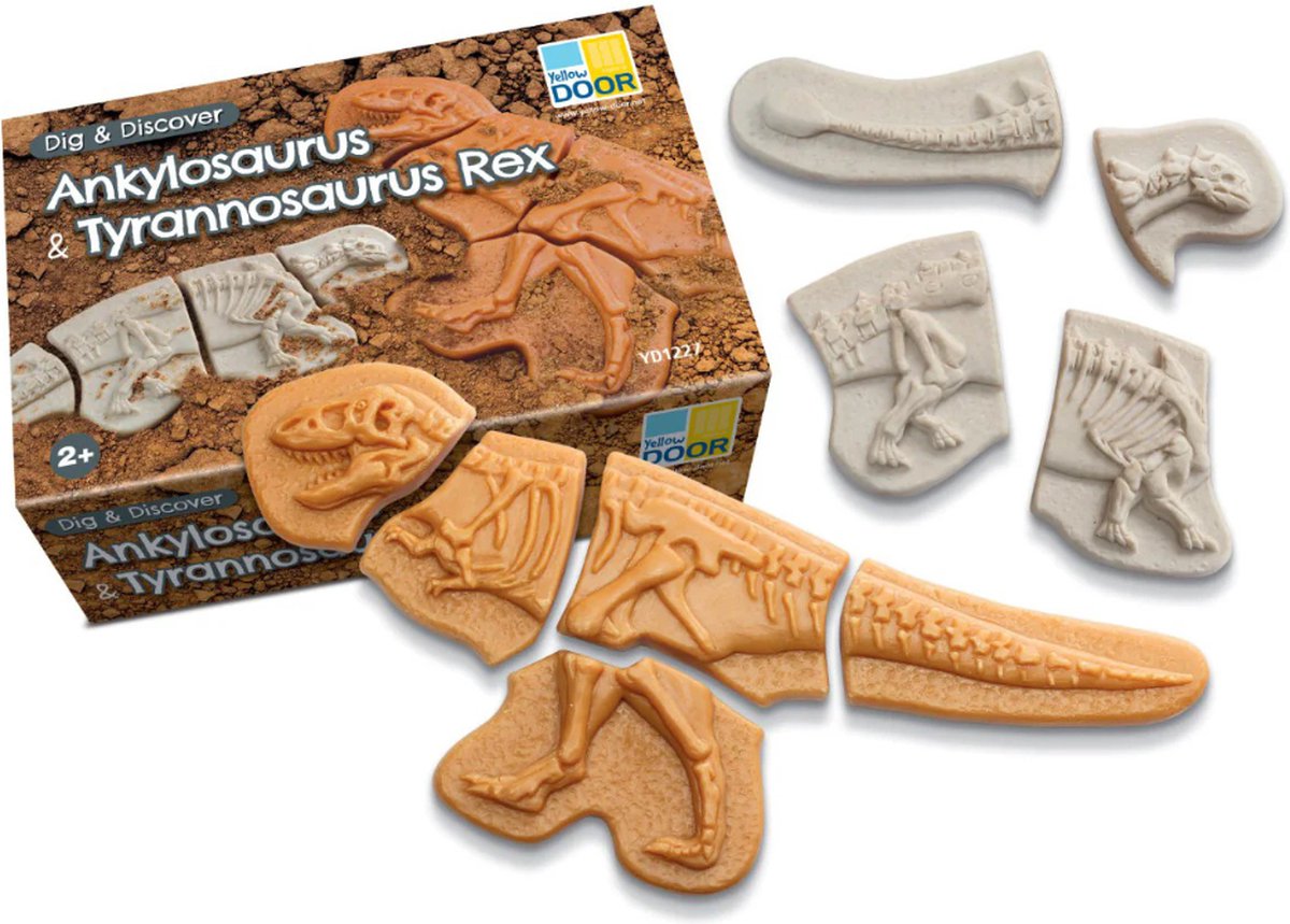 Dig and Discover - Ankylosaurus & Tyrannosaurus Rex