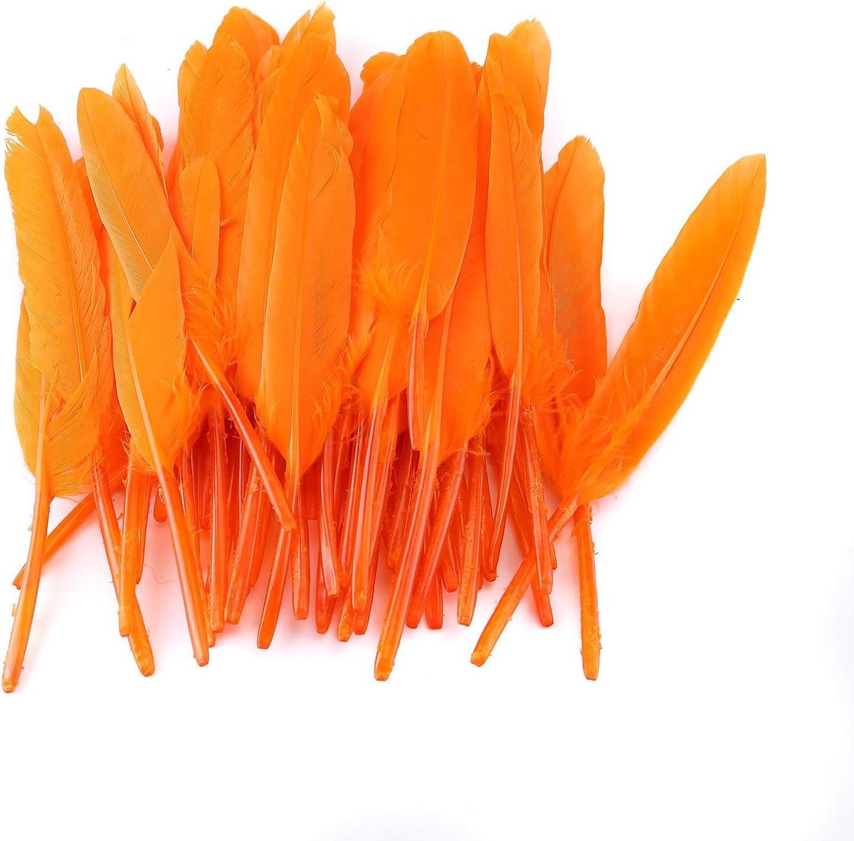 Zeynomax - 50 stuks rechte decoratieve veren DIY materiaal - Natuurlijke veren - Handwerk accessoires - Kleurrijke veren - Veer decoratie - Creatief handwerk - Ambachtelijke materialen