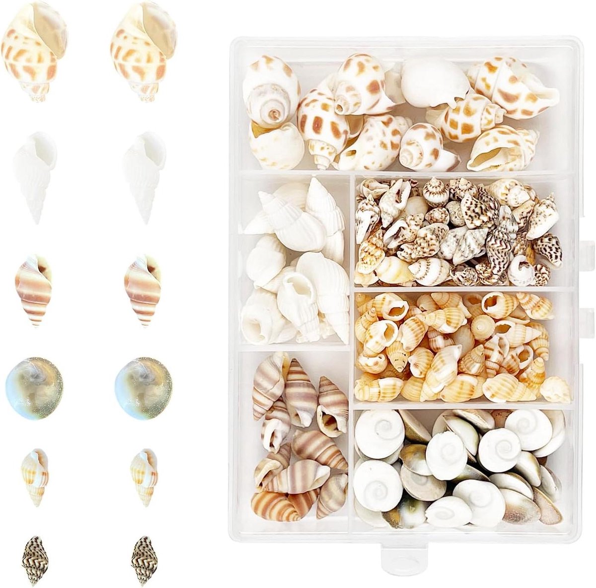 Zeynomax - Natuurlijke en ongeboorde strand schelpen mix - 166 stuks - DIY knutsel benodigdheden - Strandthemafeest decoratie