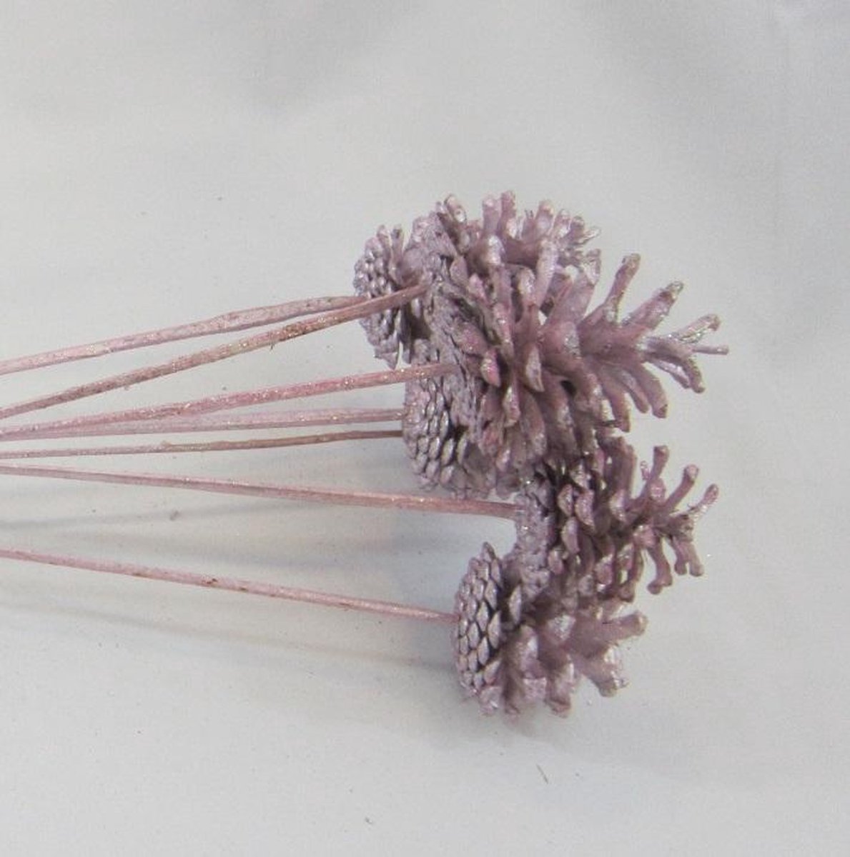 ZoeZo Design - Bijstekers - 14 stuks - droogbloemen - plantensteker - 52 cm - hout - dennenappel - roze - glitter: 52