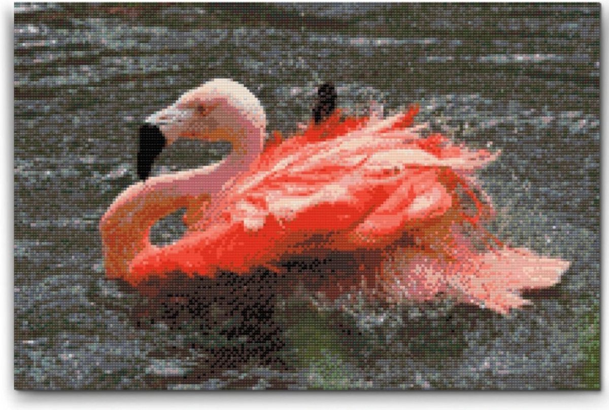 Diamond painting 30 x 40 CM canvas - op frame gespannen - Flamingo - ronde steentjes