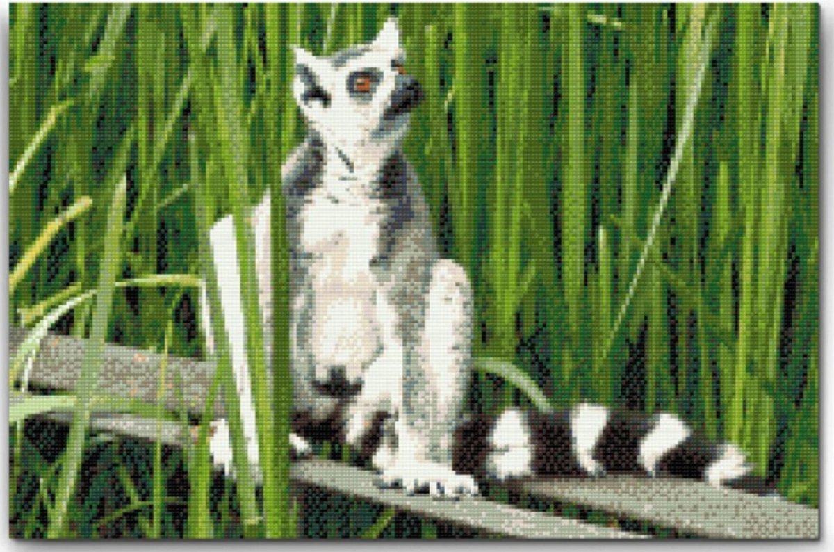 Diamond painting 40 x 60 CM canvas - op frame gespannen - Wasbeer - ronde steentjes