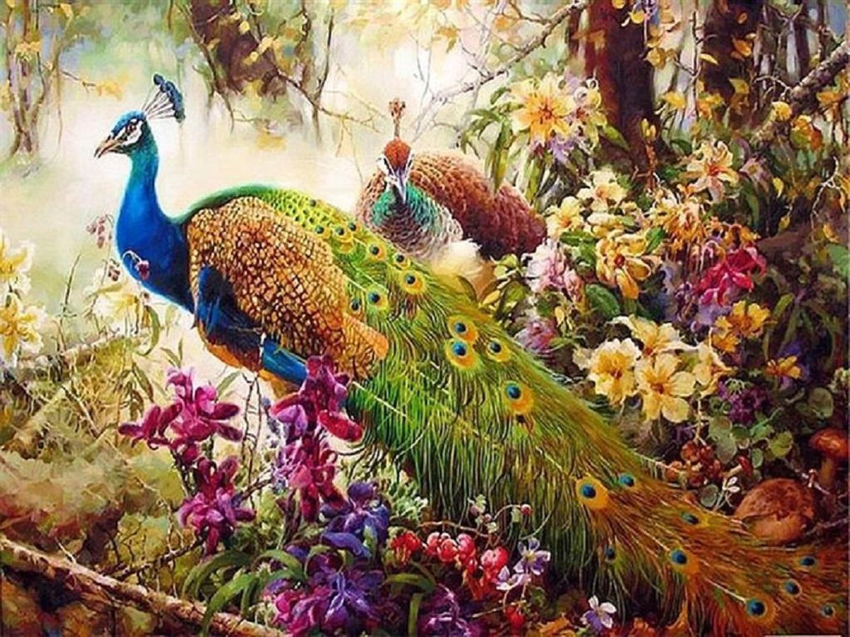 Diamond painting de luxe 40x50 cm - Pauwen