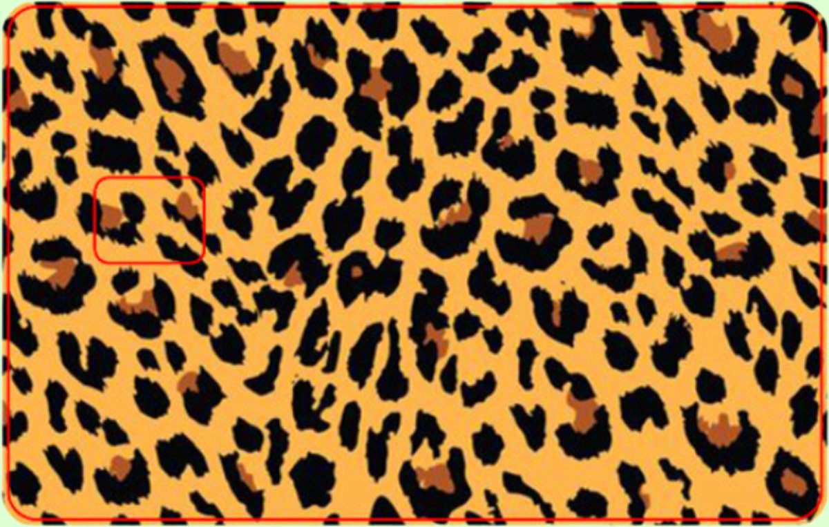 Pinpas sticker panter - Pinpasstickers - Pimp je pinpas - Kaartdecor - Sticker design - Maak het uniek - Panter - Tijgerprint