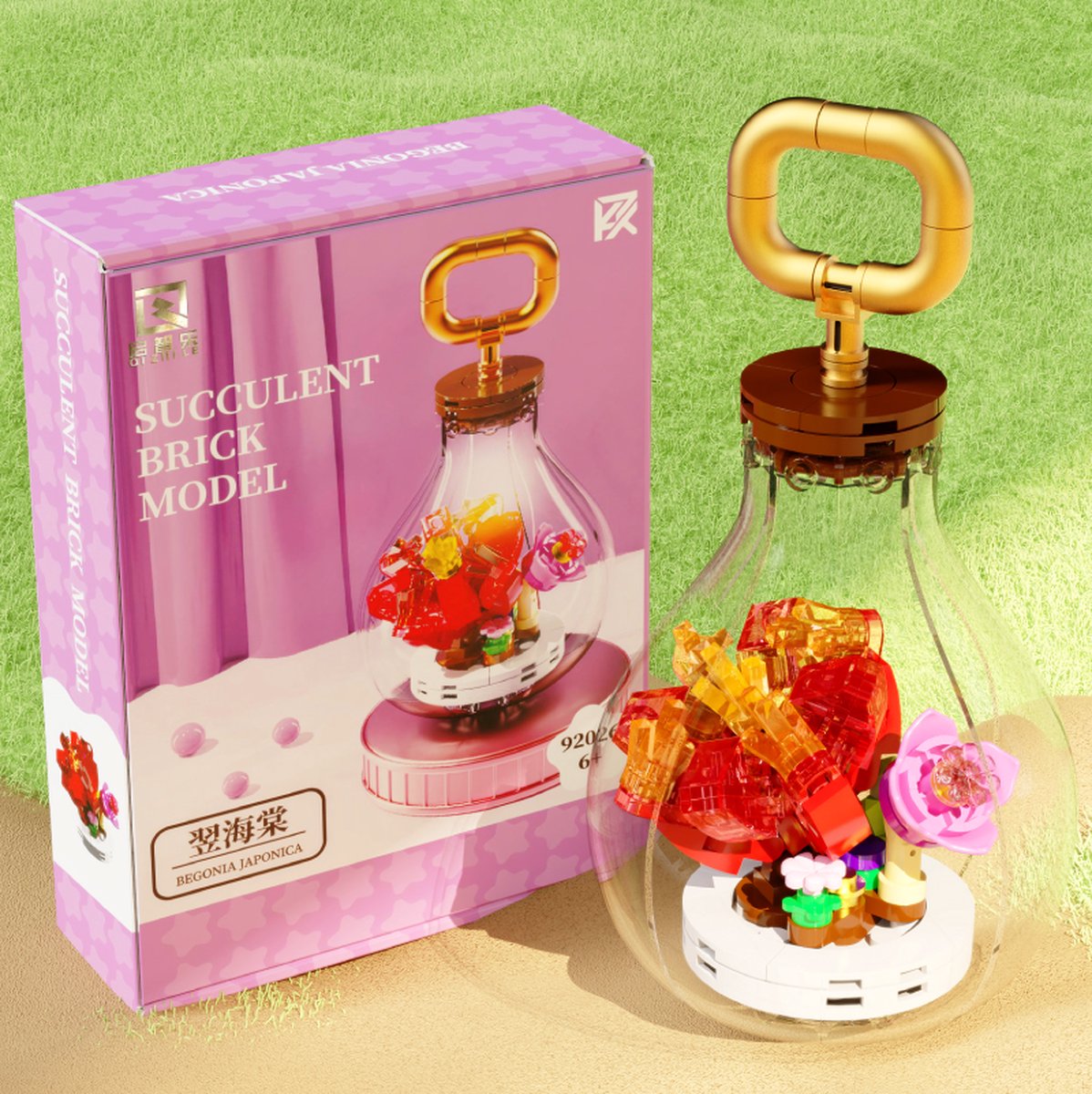 Gloeilampen Begonia japonica Creatieve Potbloemenplanten is compatibel met het bekende merk.