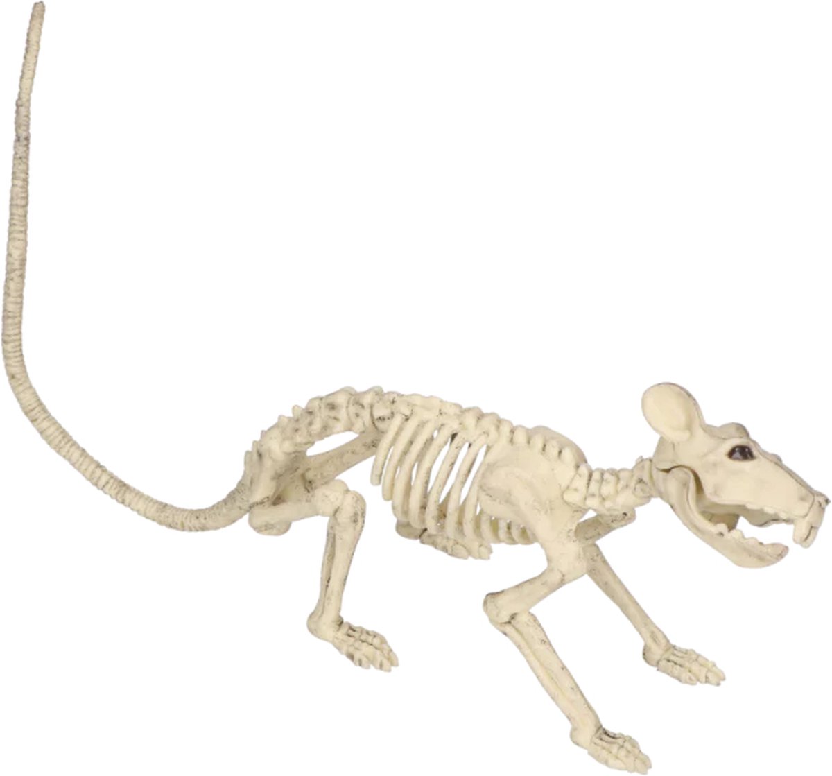 Skelet rat feestversiering Halloween