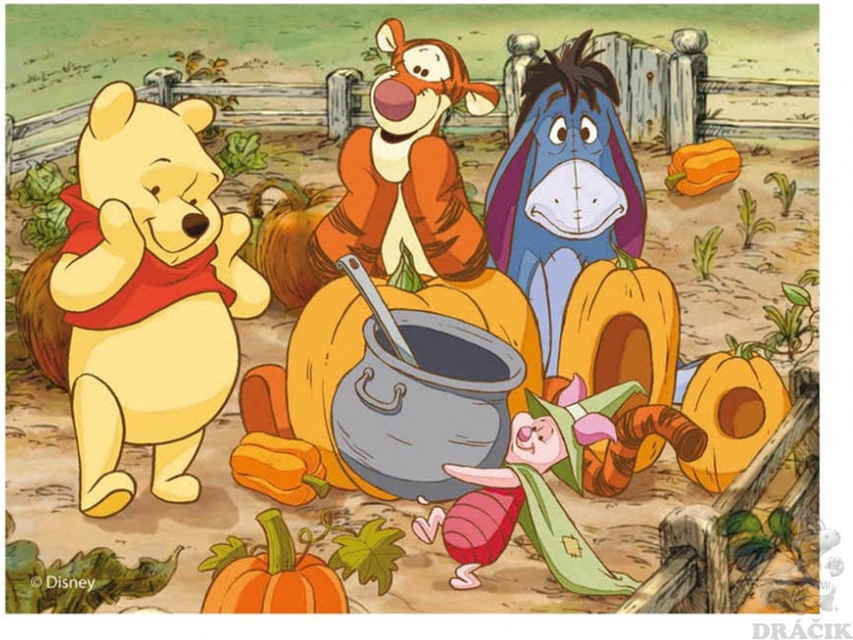 Winnie The Pooh Blokken puzzle 12 blokjes