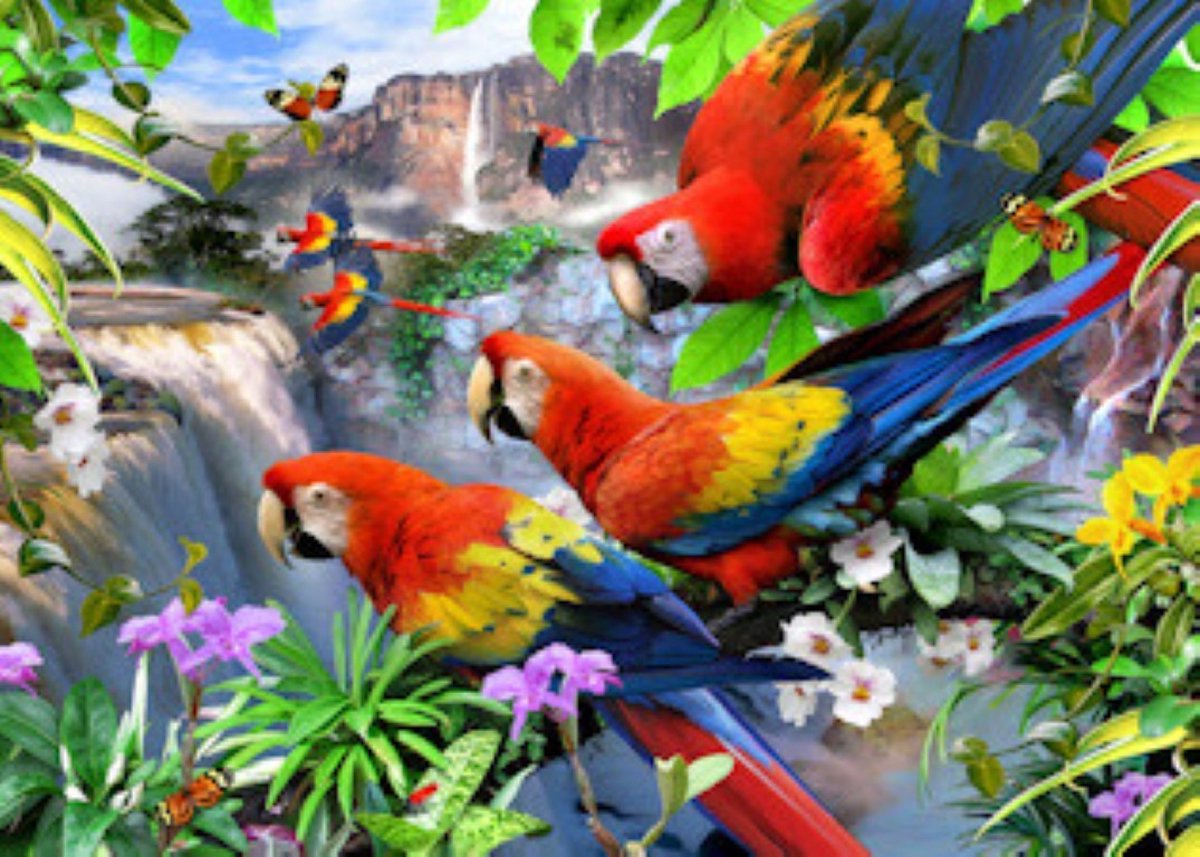 Diamond Painting Howard Robinson Flight of the Macaw Vierkante  Steentjes 65x90