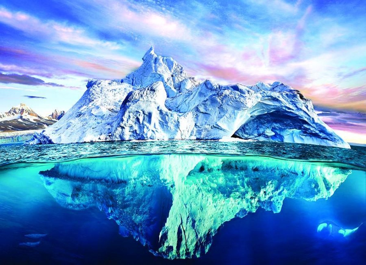 Eurographics safe the planet Artic puzzel 1000