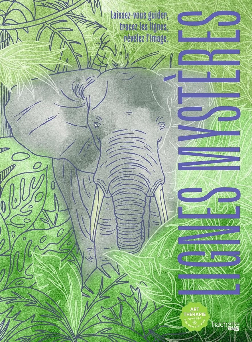 Lignes Mystères - hachette - kleurboek voor volwassenen