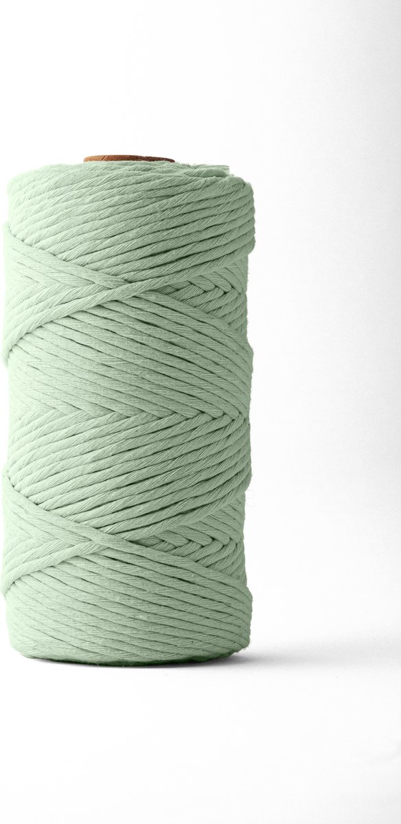 Ledent macramé touw, enkel getwist (3mm, 120M, Eucalyptus) - van 100% geregenereerd katoengaren - Macramé touw in verschillende kleuren voor creatieve projecten.