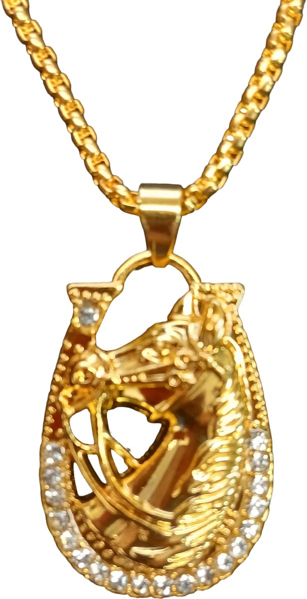 Ketting met paard - Goudkleurige paarden bedel met 60 cm ketting - Hanger paardenhoofd met ketting