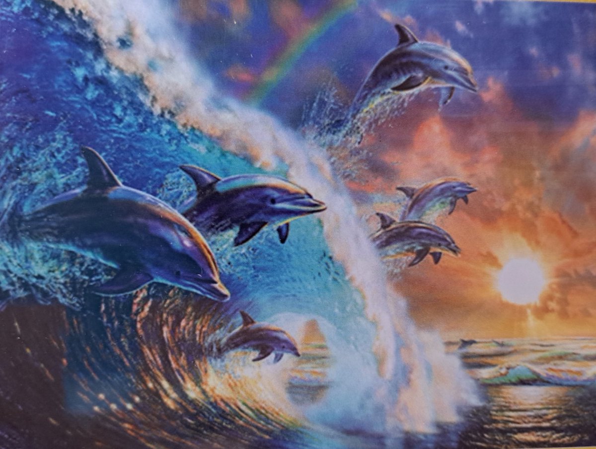 DIAMOND PAINTING DOLFIJNEN