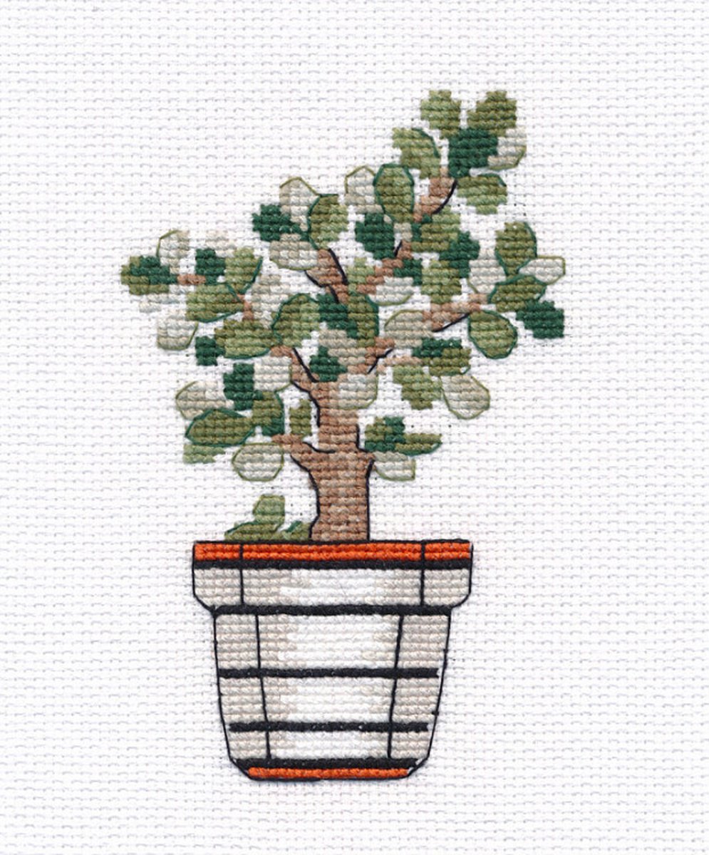 Borduurpakket OVEN - CRASSULA - telpatroon om zelf te borduren