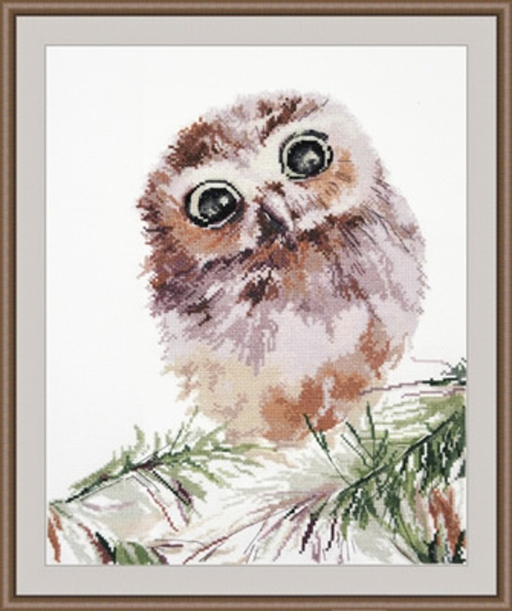 Borduurpakket Uil - Wonderment - Oven