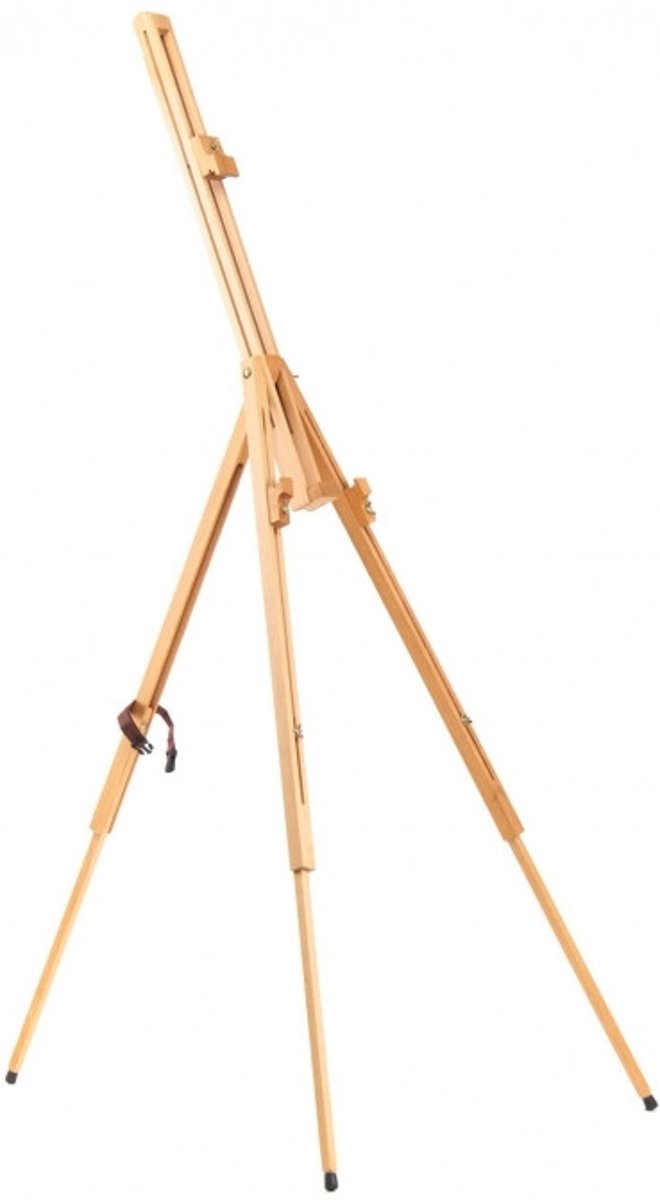 Veldschildersezel Marseille 20