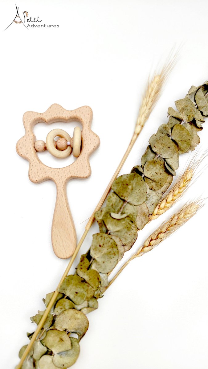 Houten rammelaar leeuw