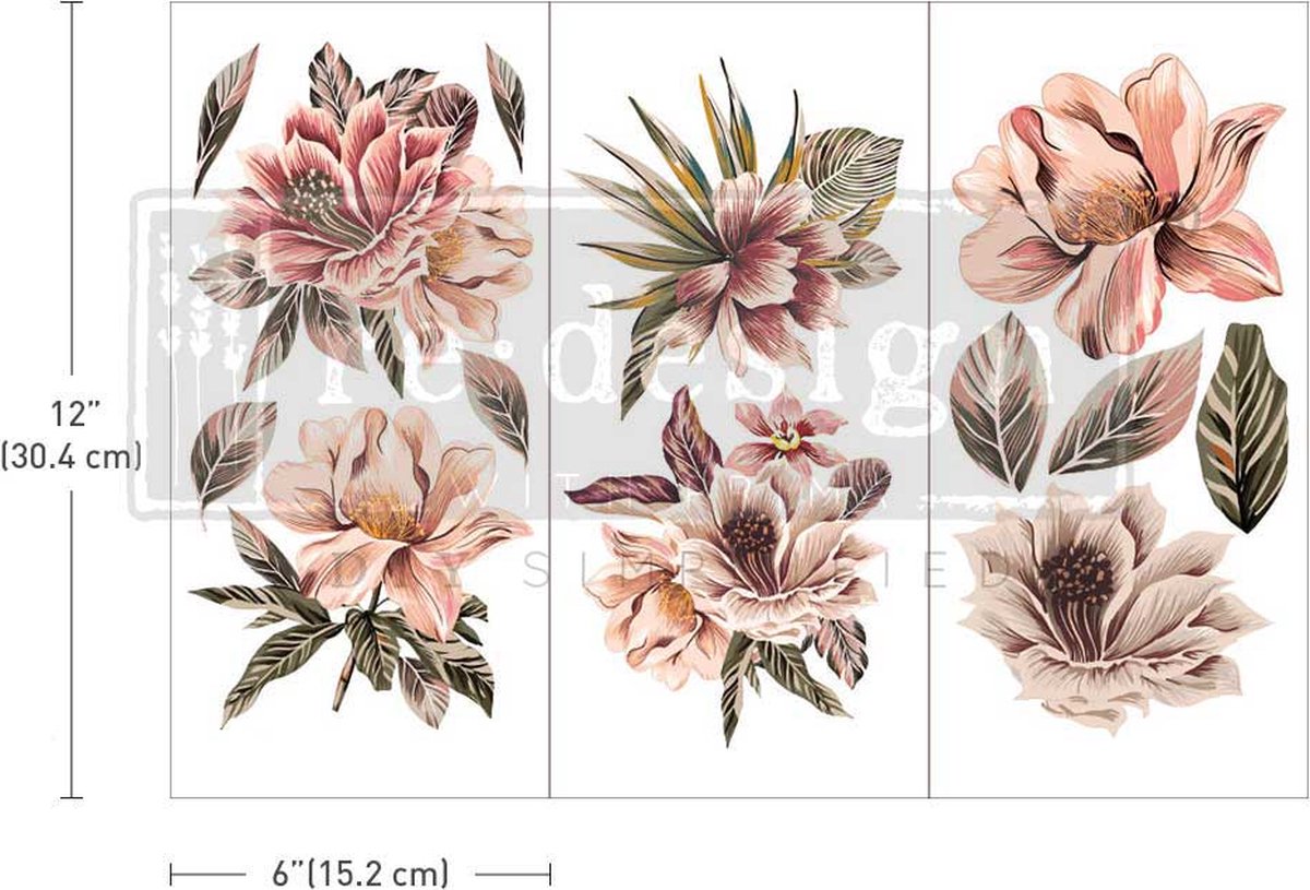 Redesign - Decor Transfer - Exotica