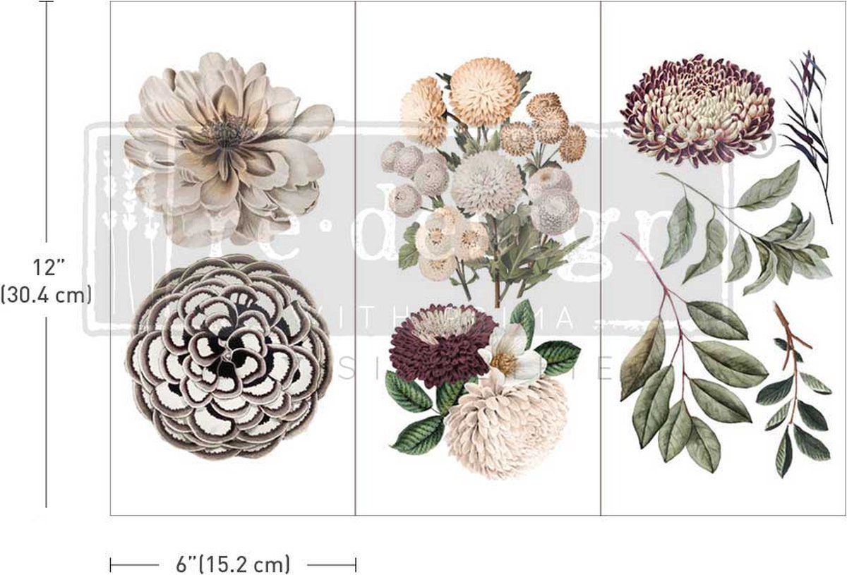 Redesign - Decor Transfer - Natural Flora