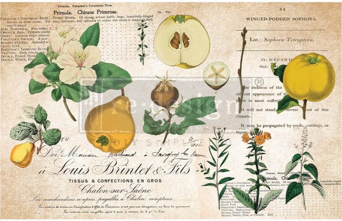 Redesign - Decoupage Tissue Paper - Primrose - 48.26 x 76,2 cm