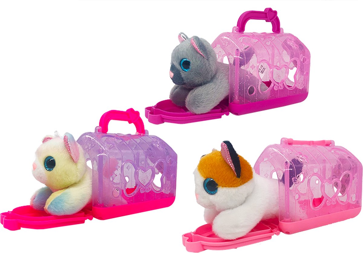 SOFTY- Knuffel Buddy in reiskoffer 3 assorti