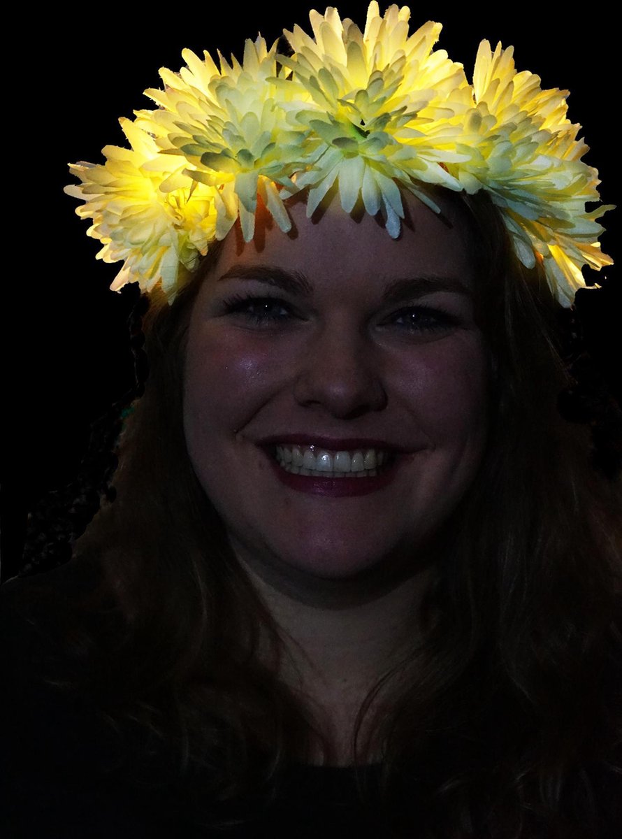 Salvaro - Witte LED Bloemenkroon - Chrysant