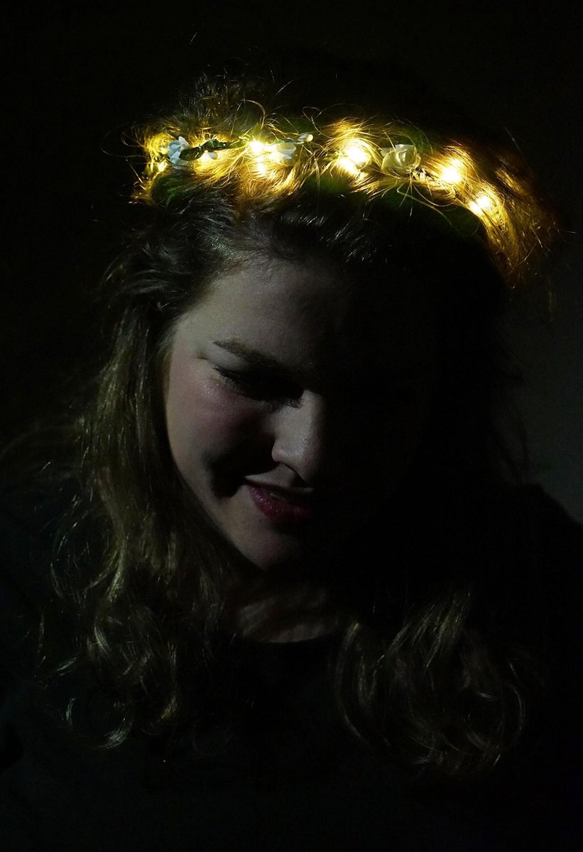 Salvaro LED Bloemenkroon Kleine -Witte Roosjes