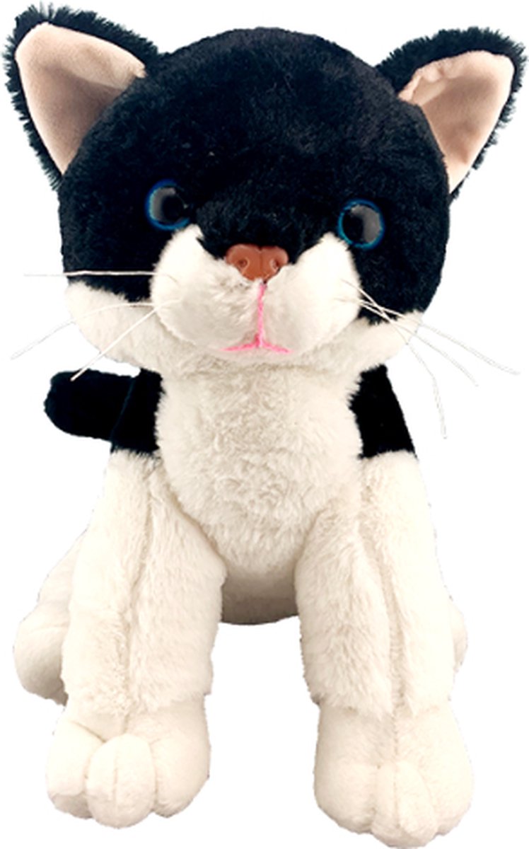 Poes kat Teddy mountain, zwart witte kat, katten, huisdieren, speelgoed, knuffels, zelf maken, knutselen