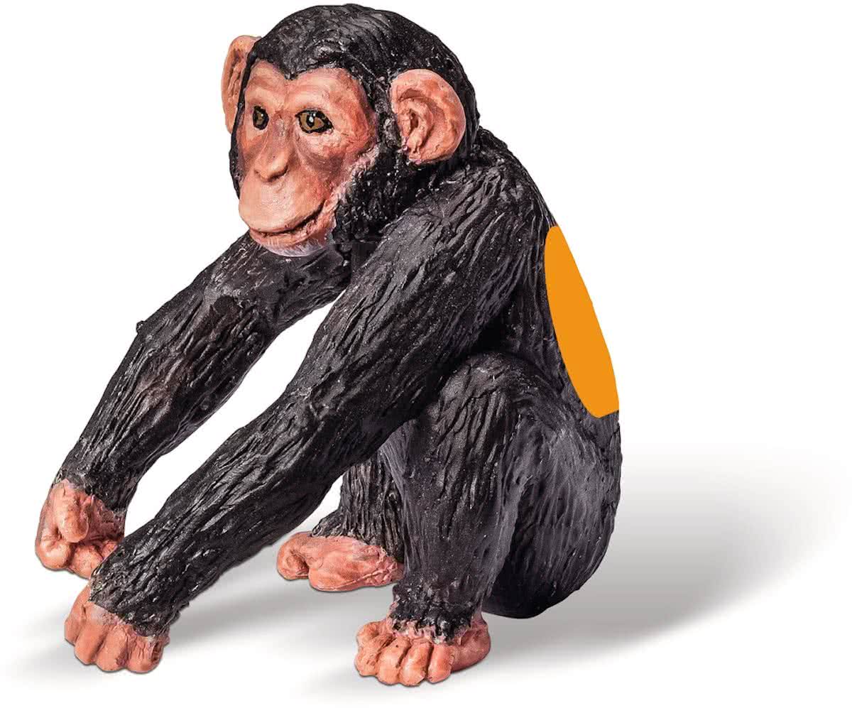 Ravensburger tiptoi Afrika - Chimpansee jong