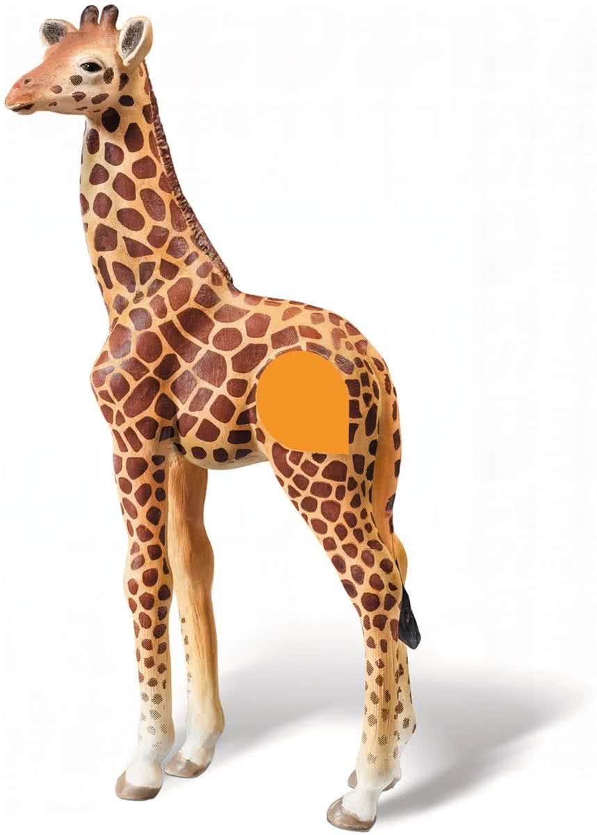 Ravensburger tiptoi Afrika - Giraf jong