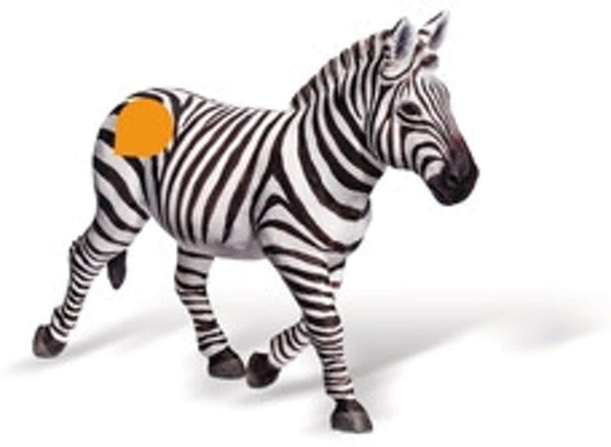 Ravensburger tiptoi Afrika -Zebra