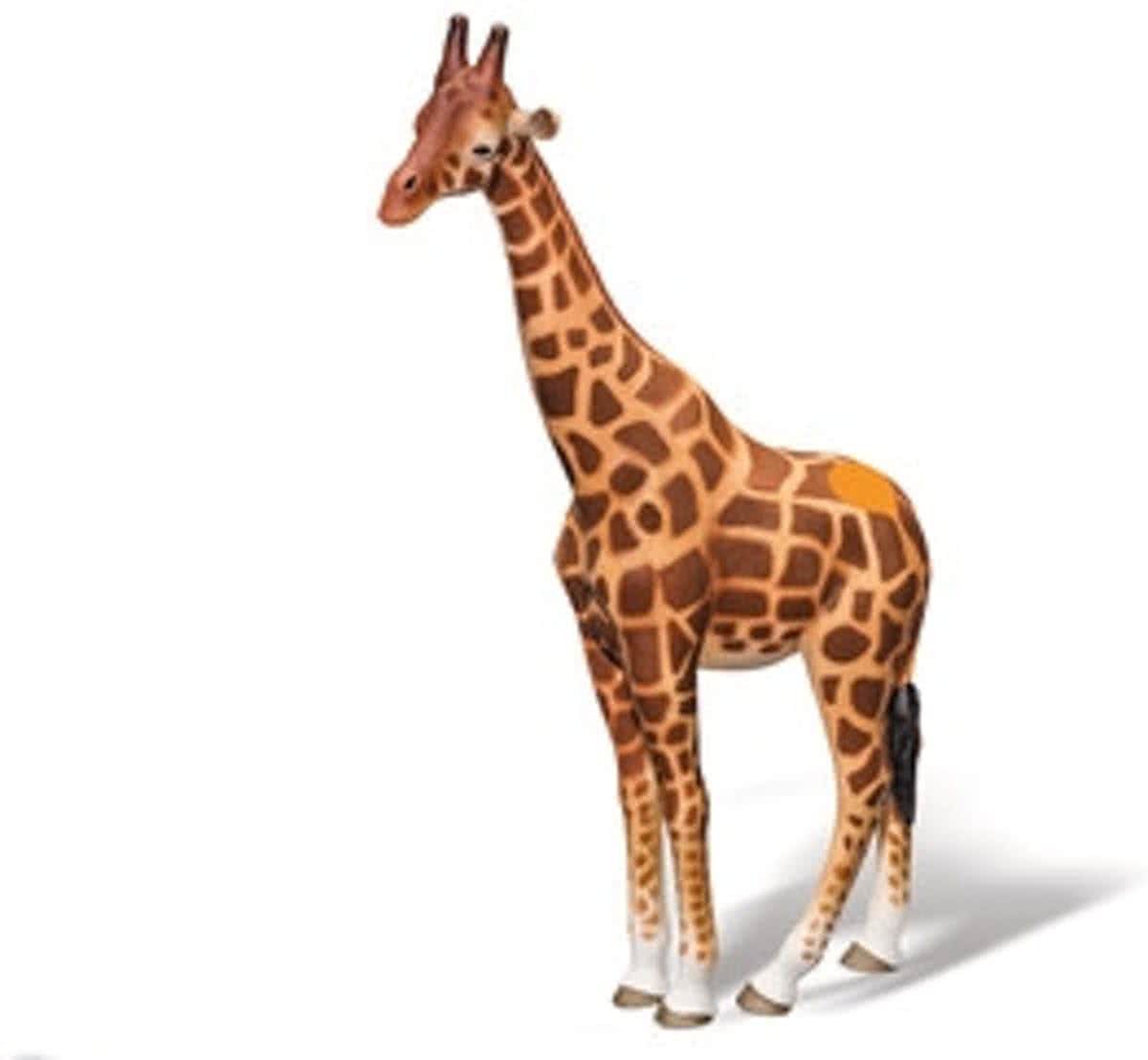 tiptoi® speelfiguur Giraf