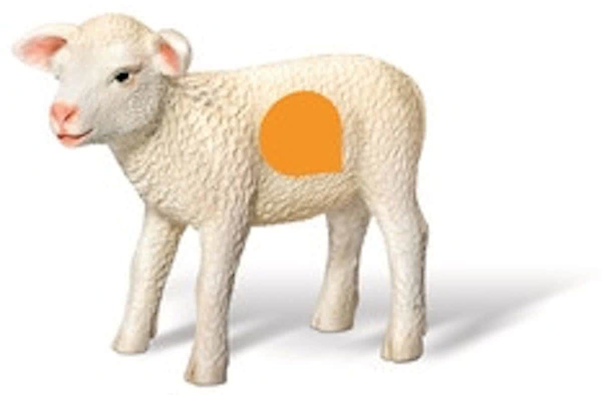 tiptoi® speelfiguur Lam